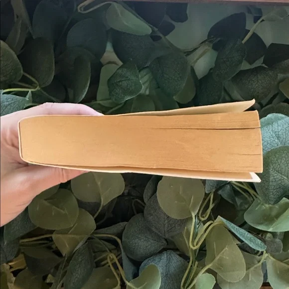 The Time Traveler's Wife by Audrey Niffenegger - Picture 4 of 5